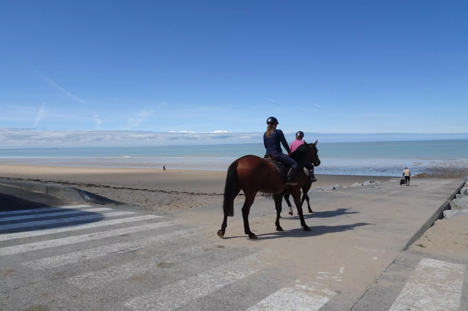 Maison de Vacances XXL Gouville sur mer-Gebieden zomer 20km