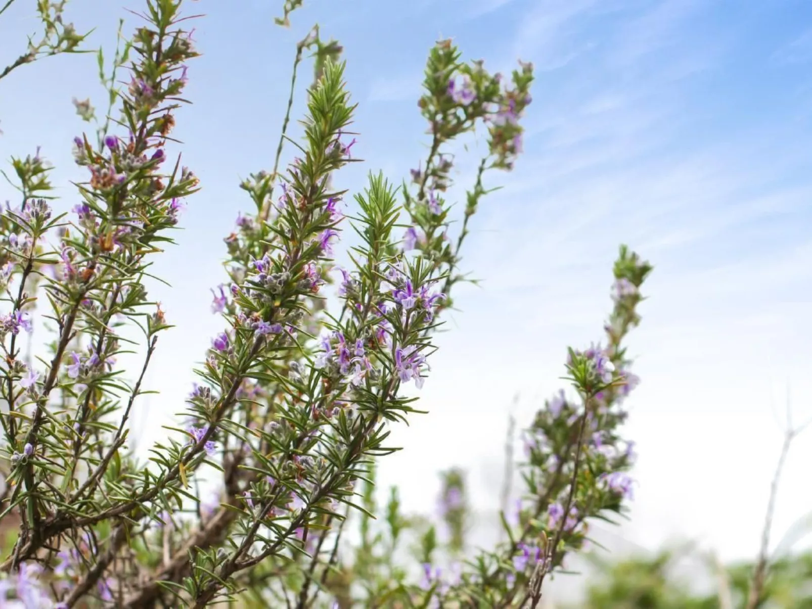 Traumhaftes Tessiner Haus mit Weitblick - Image-tags.info