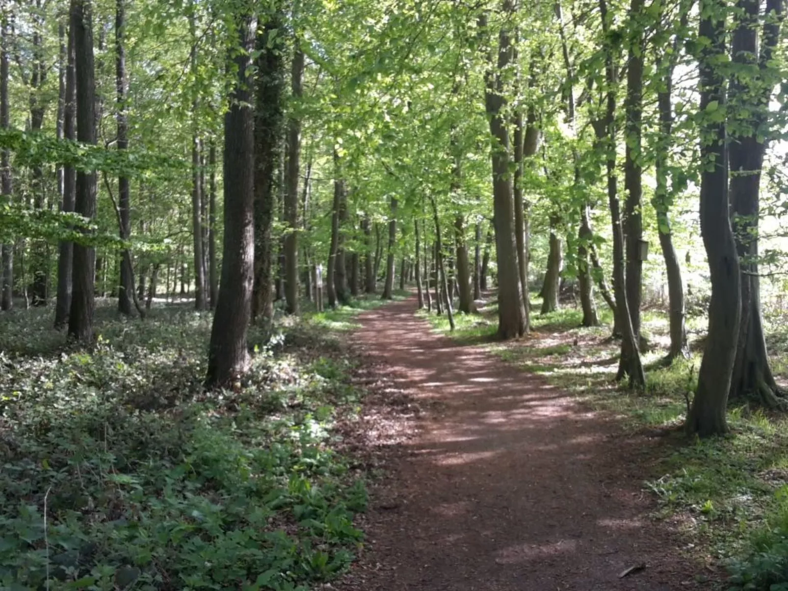 Wellness Fewo C6 - Image-tags.info