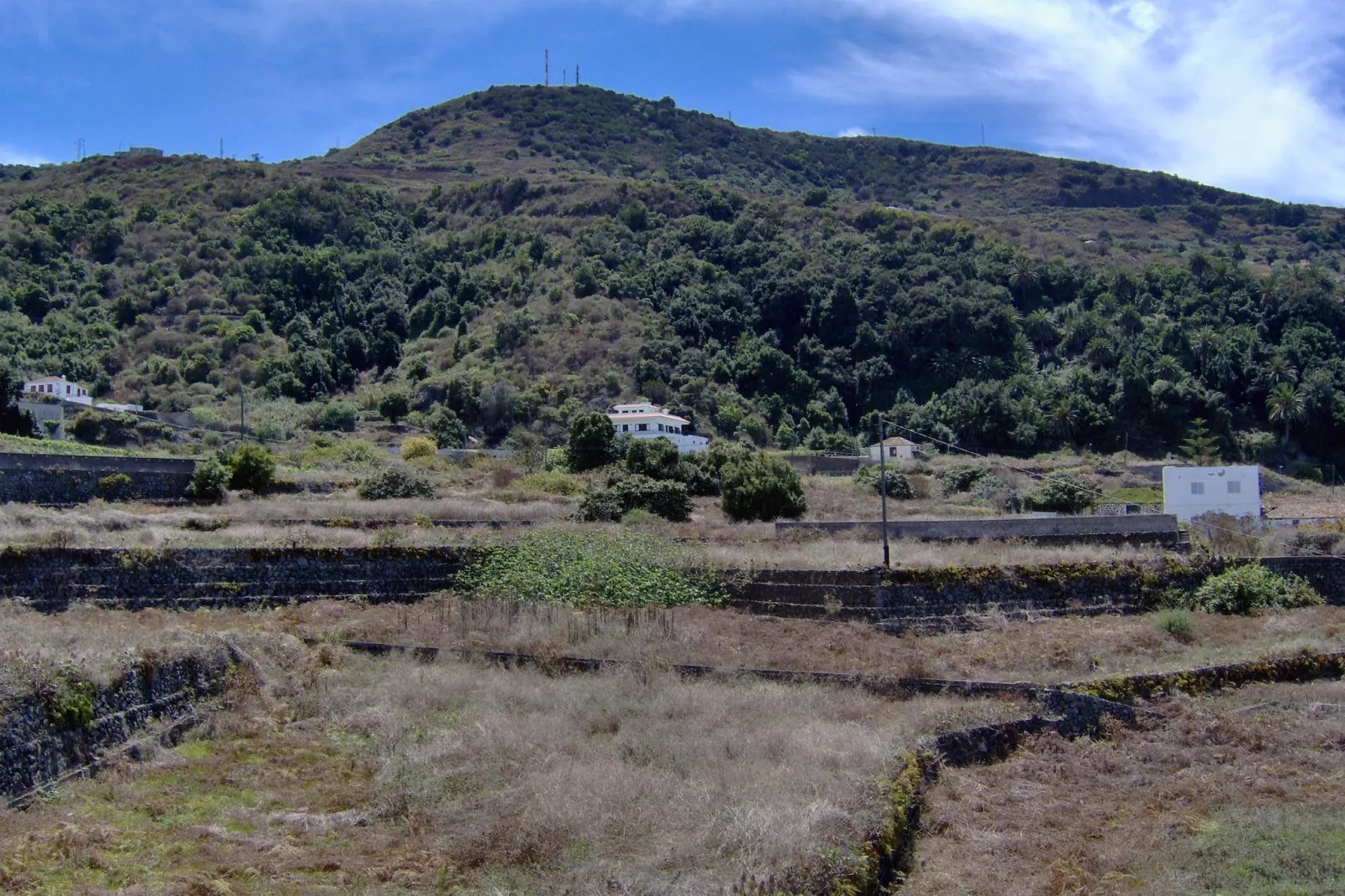 Apartamentos Monasterio de San Antonio 1 - Gebieden zomer 1km