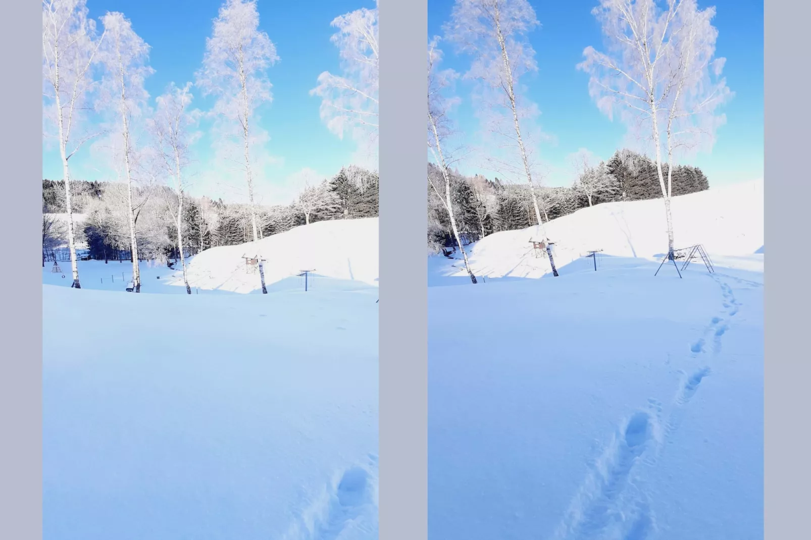 Murmeltier - Tuin winter