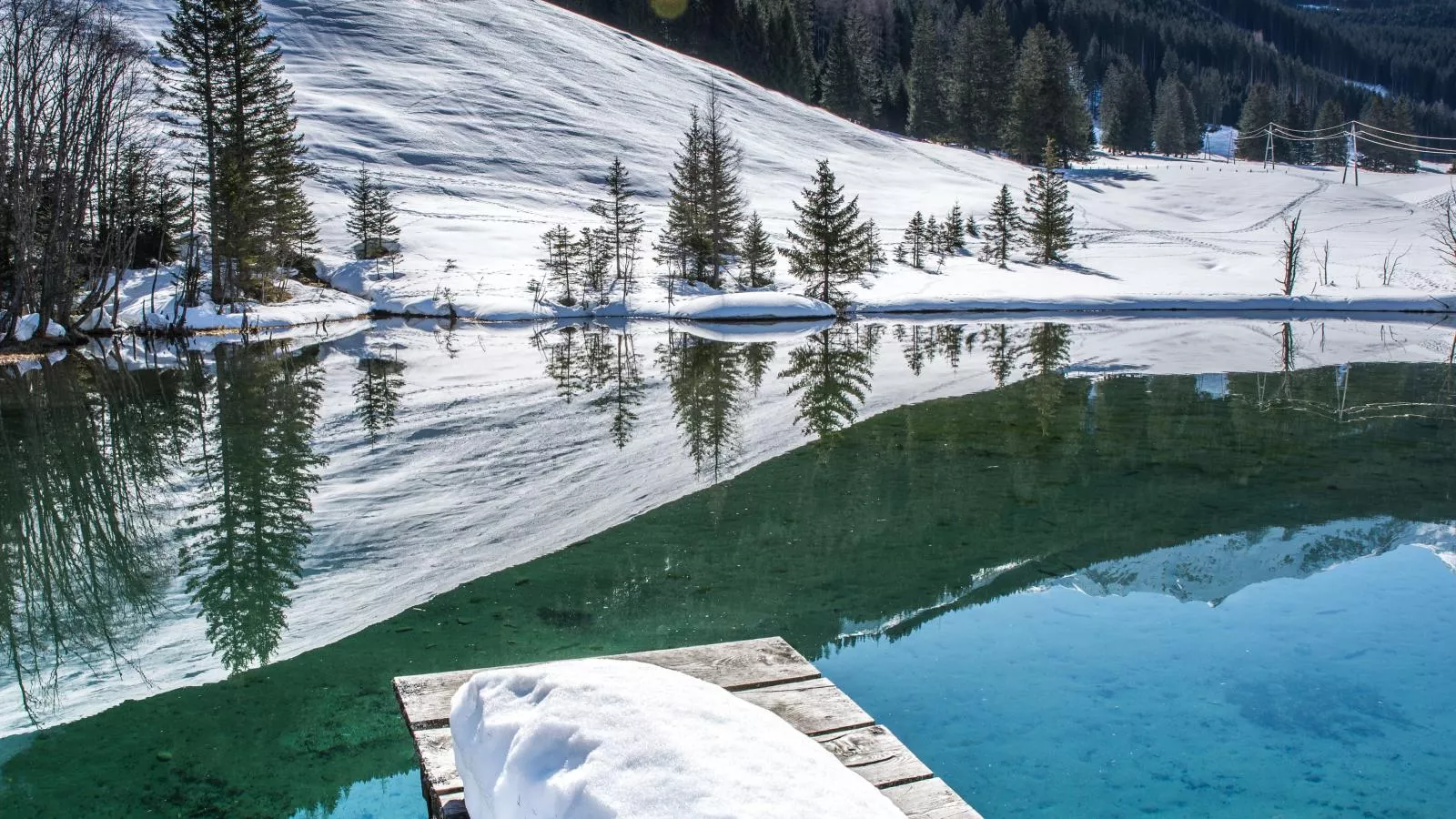 Barney M - Gebied winter 5km