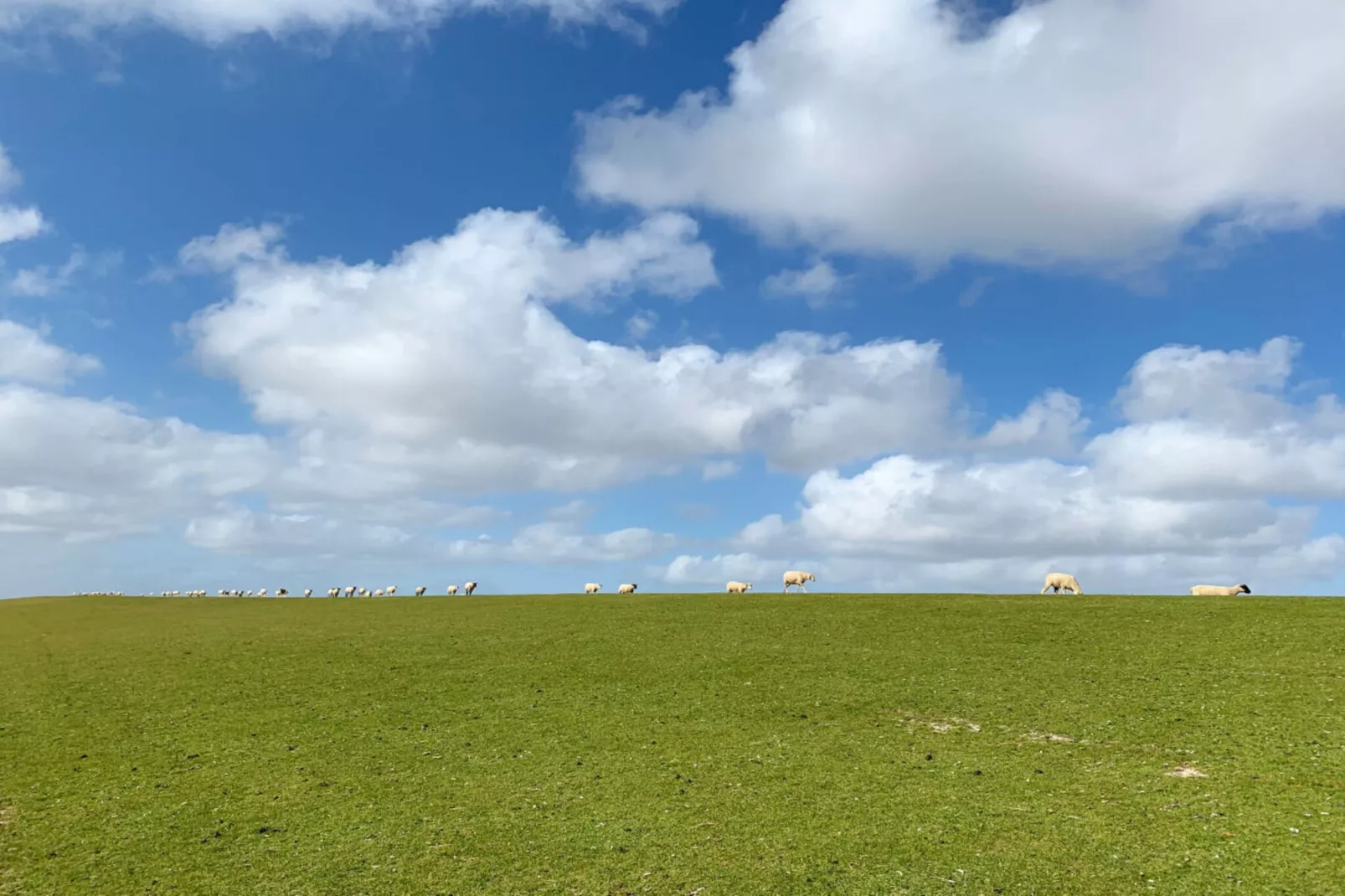 394110 - Tuinen zomer