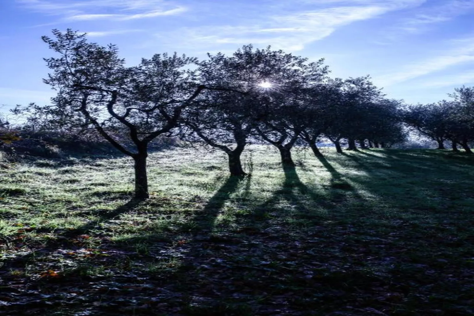 Aria di Lucca-Gebieden zomer 20km
