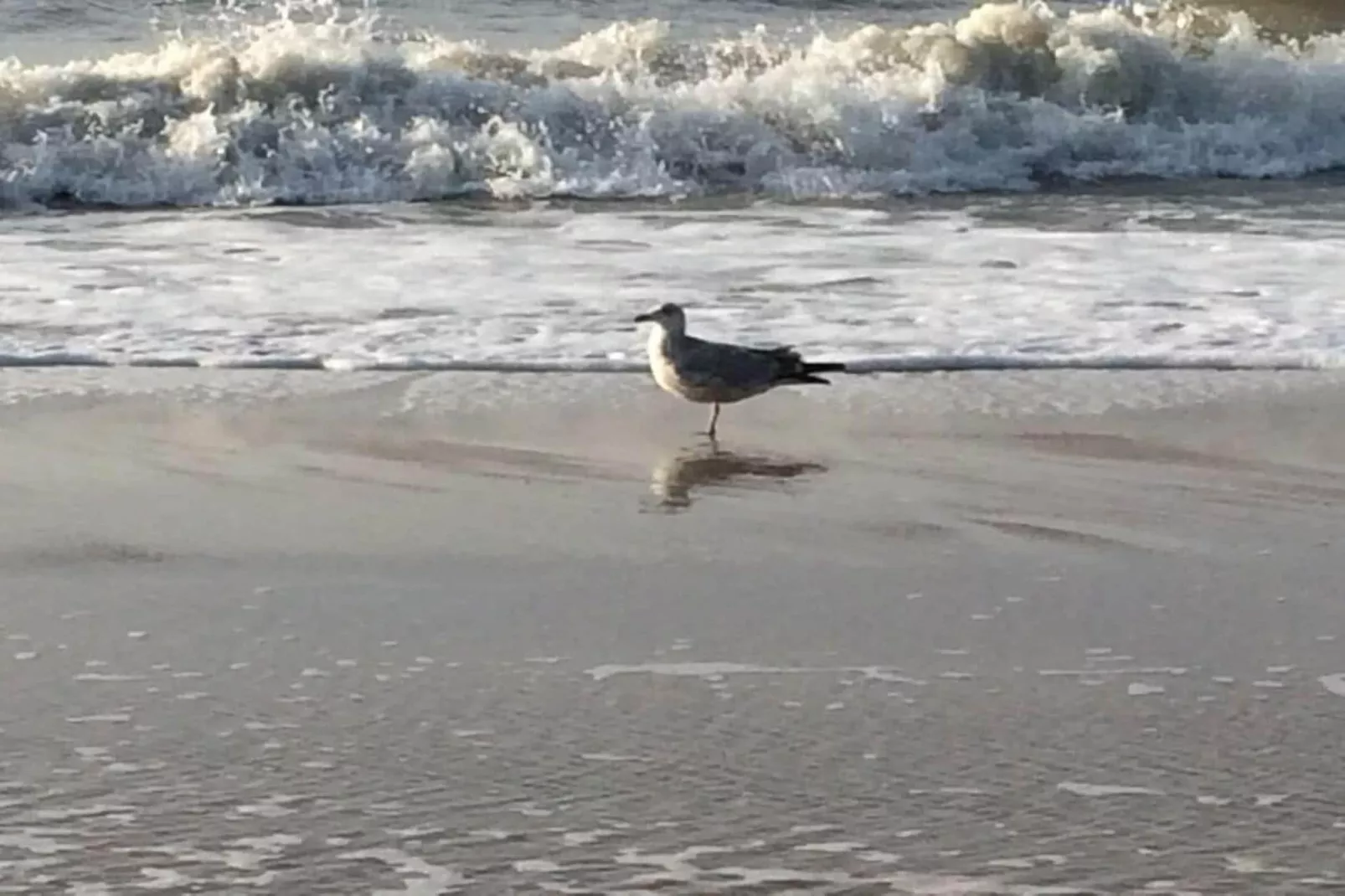 248389-Gebieden zomer 5km