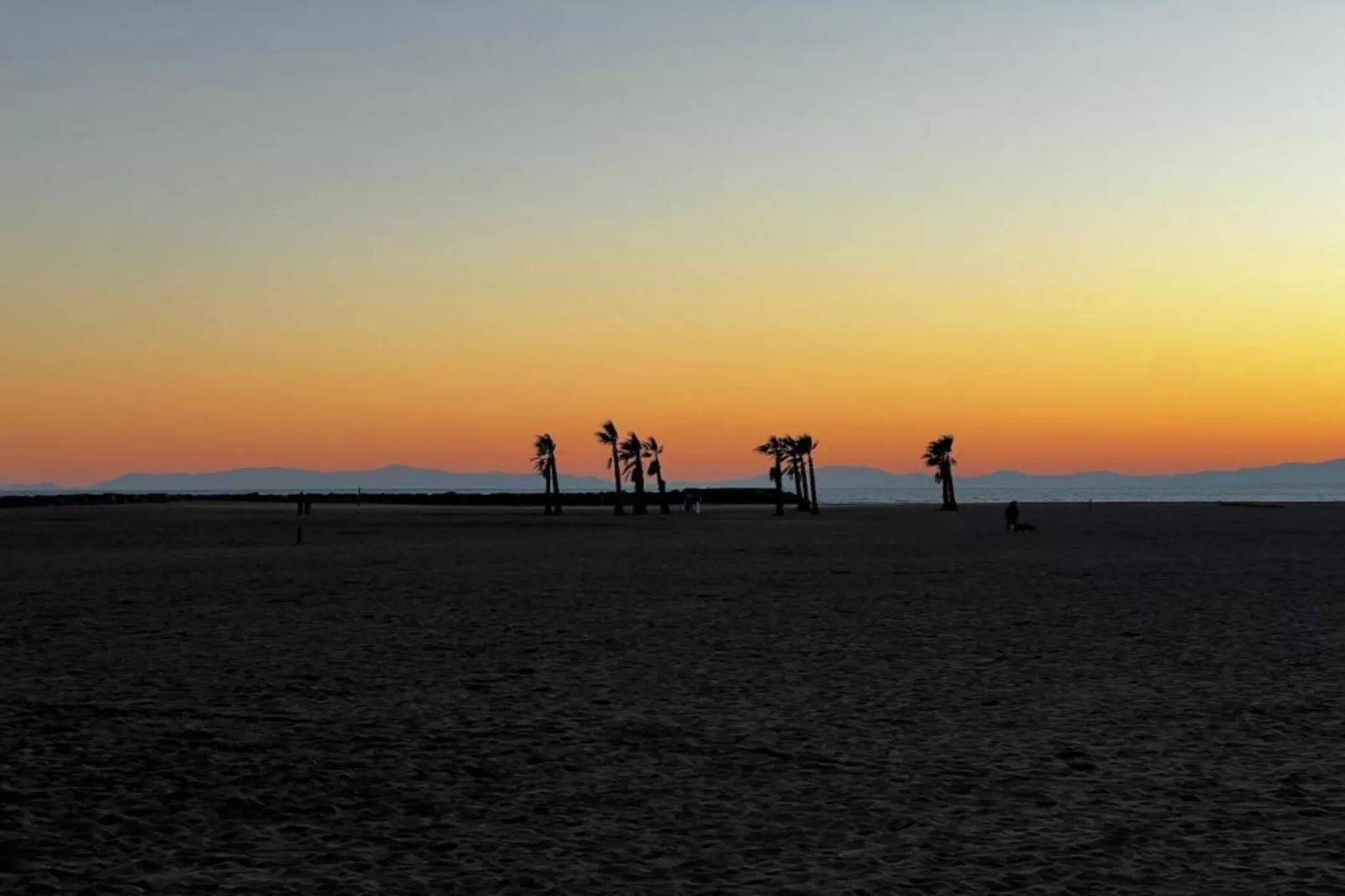 La Dune N°55 - Villa 3P6-Gebieden zomer 1km