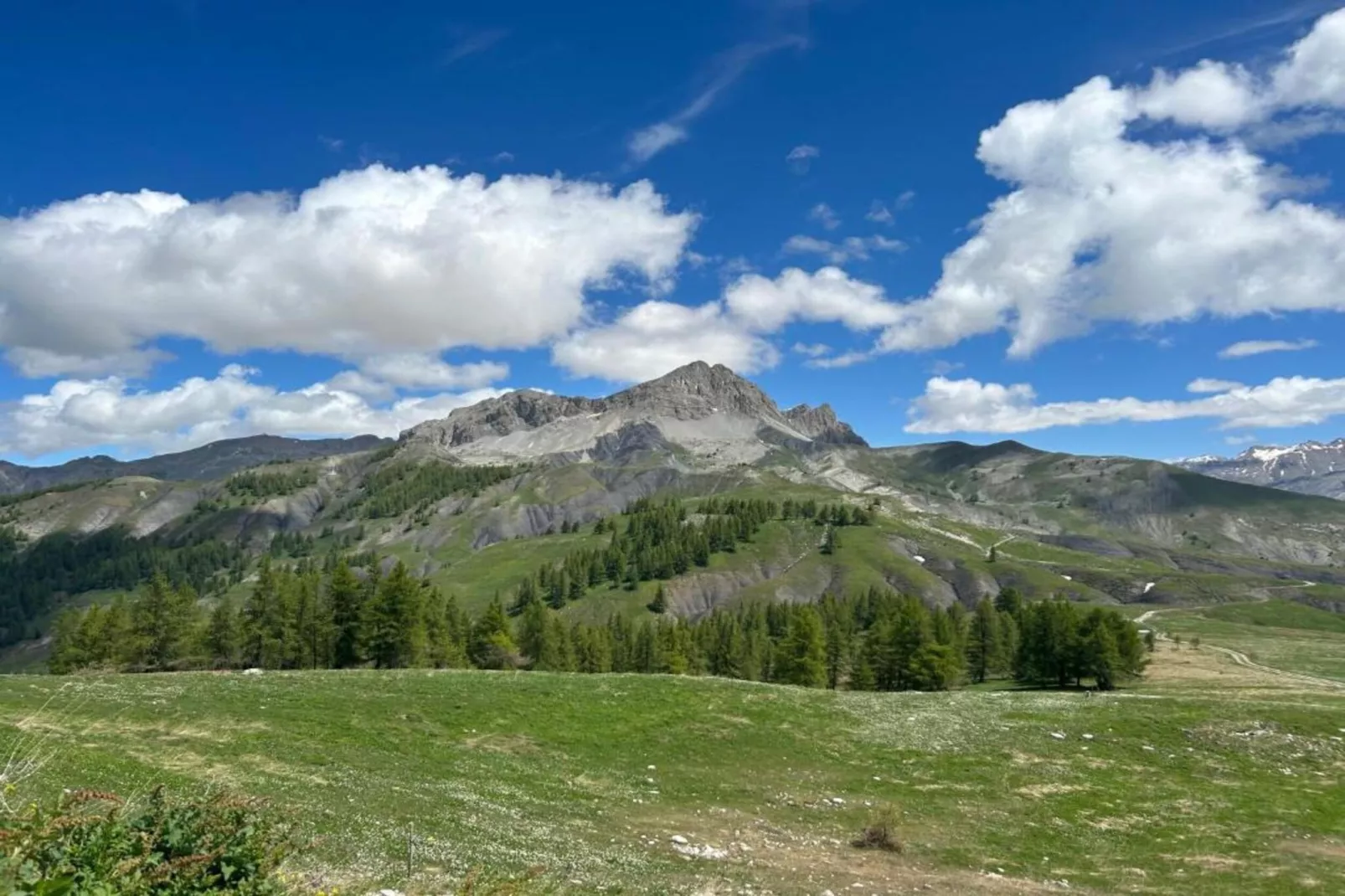 C. du Verdon N°3401 - 2P6 - Gebieden zomer 20km