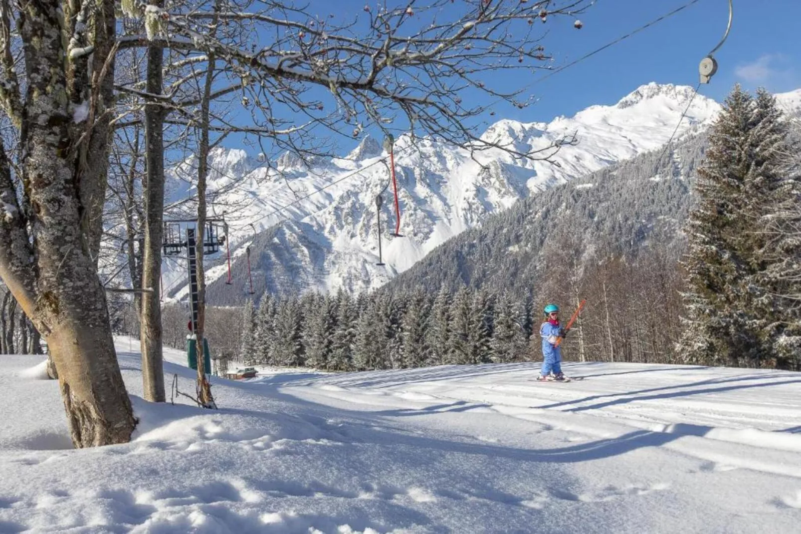 Les Cochettes N°166 - 4P8-Gebied winter 20km