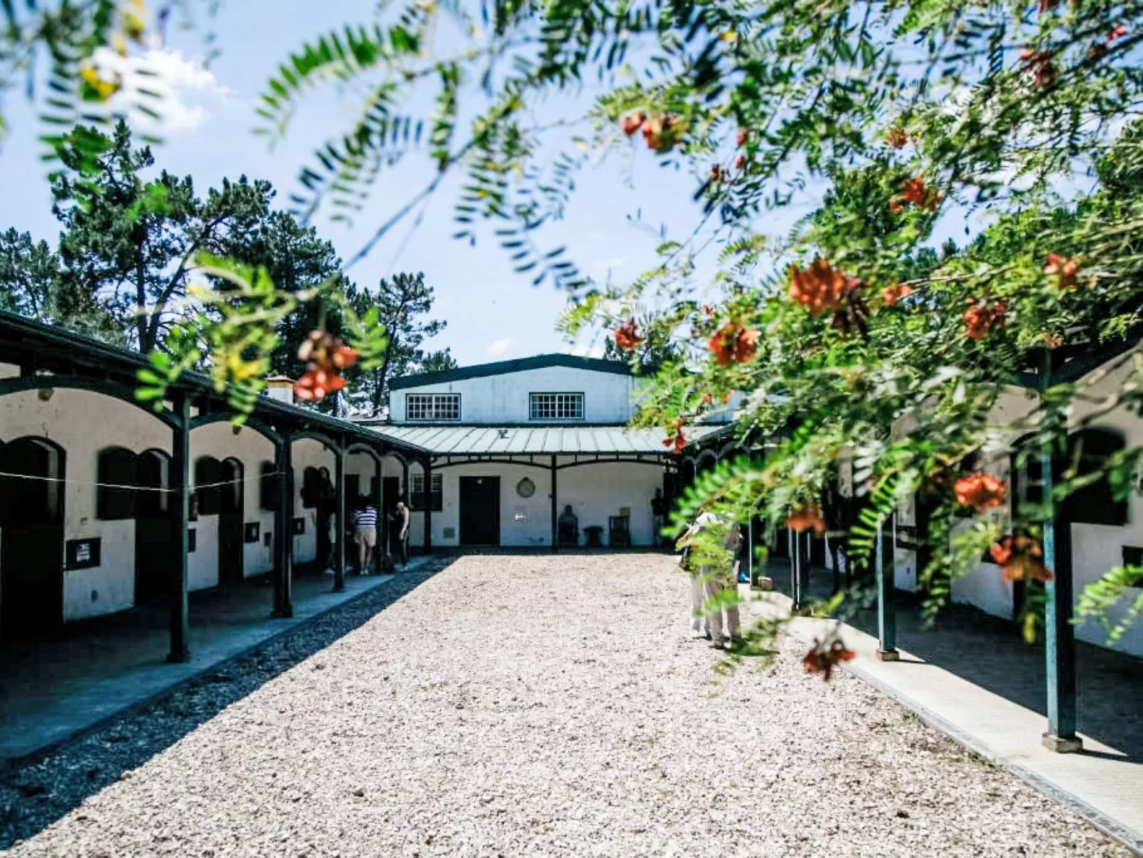 Villa Cegonha-Buiten