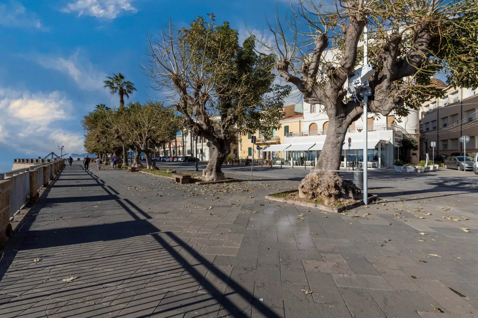 MONOLOCALE BURAGNA-Gebieden zomer 5km