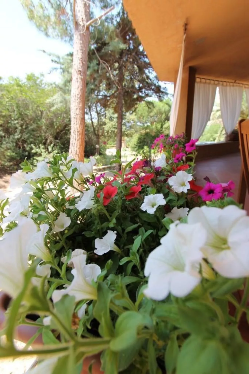 Wohnung 'Rosa 3' mit Terrasse-Buiten