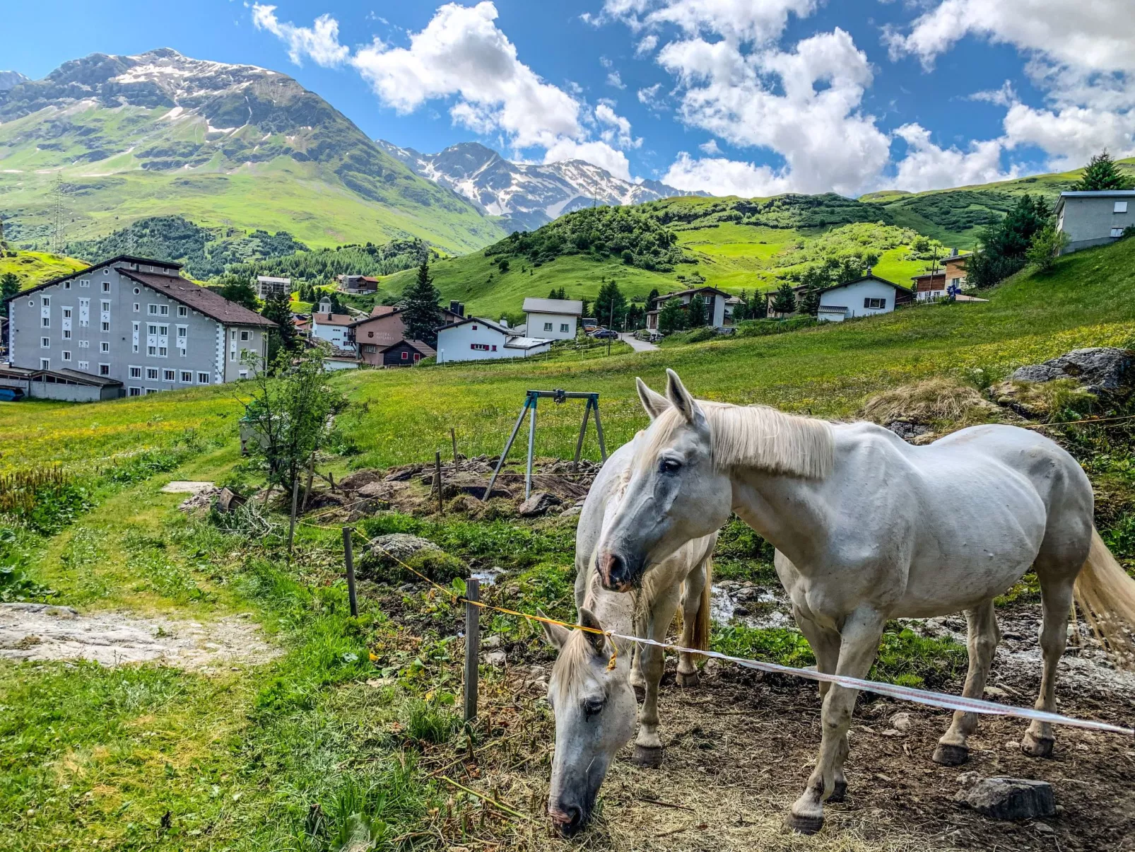 Mit Blick in die Berge - Image-tags.info