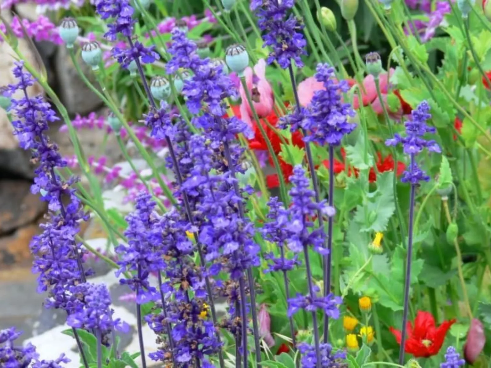 Nettes Ferienhaus in Tijarafe mit Privatem Pool und Panoramablick - Image-tags.info