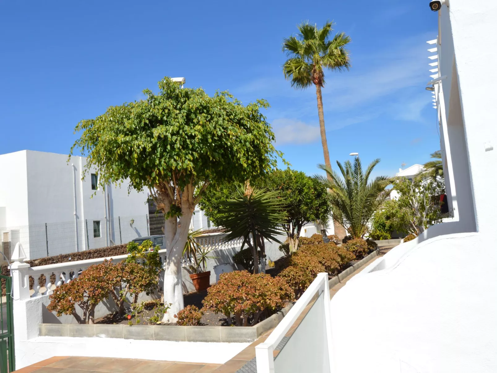 Für 5 Personen ca. 65 m&sup2; in Puerto del Carmen, Lanzarote (Südküste von Lan - Image-tags.info