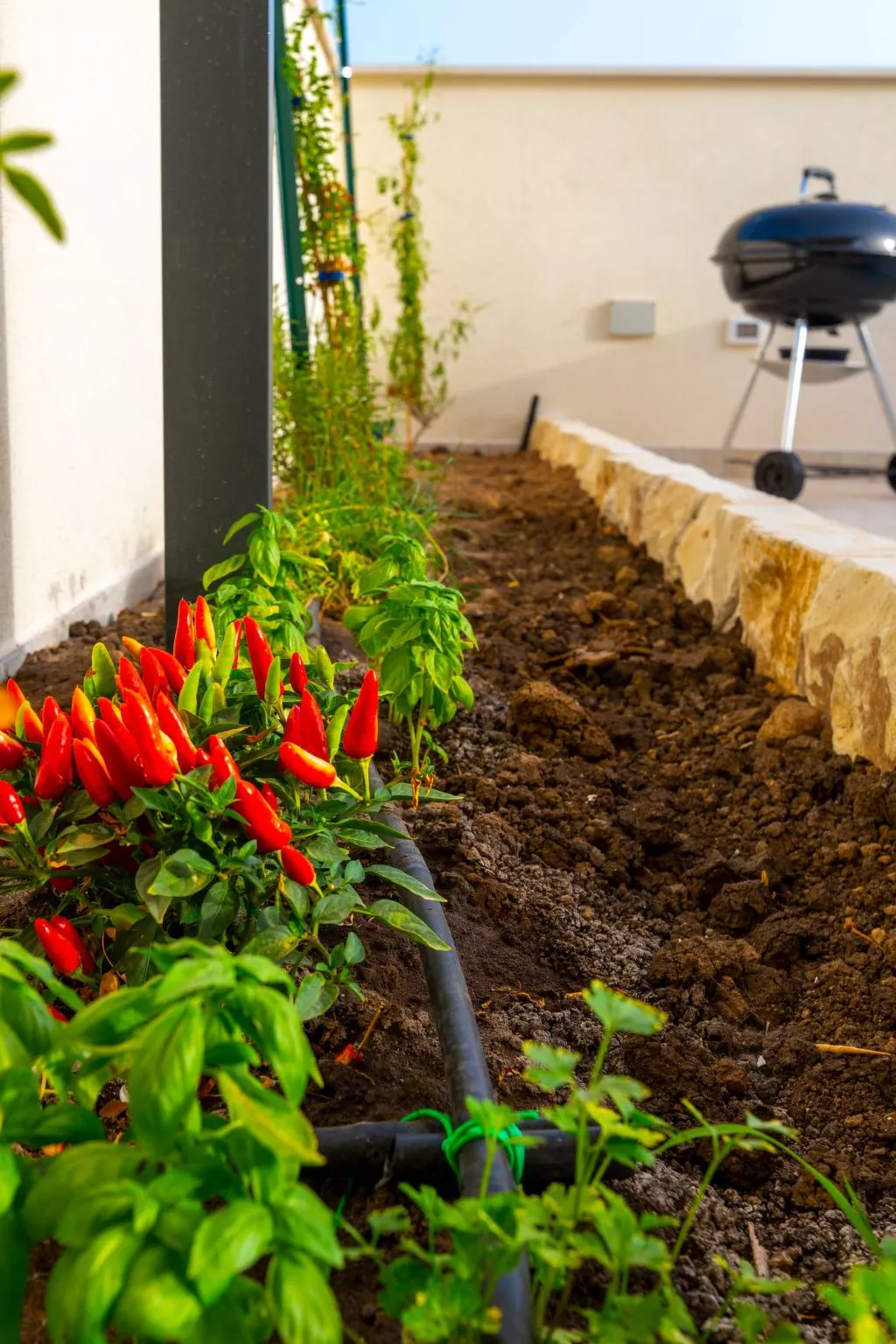 Wohnung Il Mandorlo - Image-tags.info