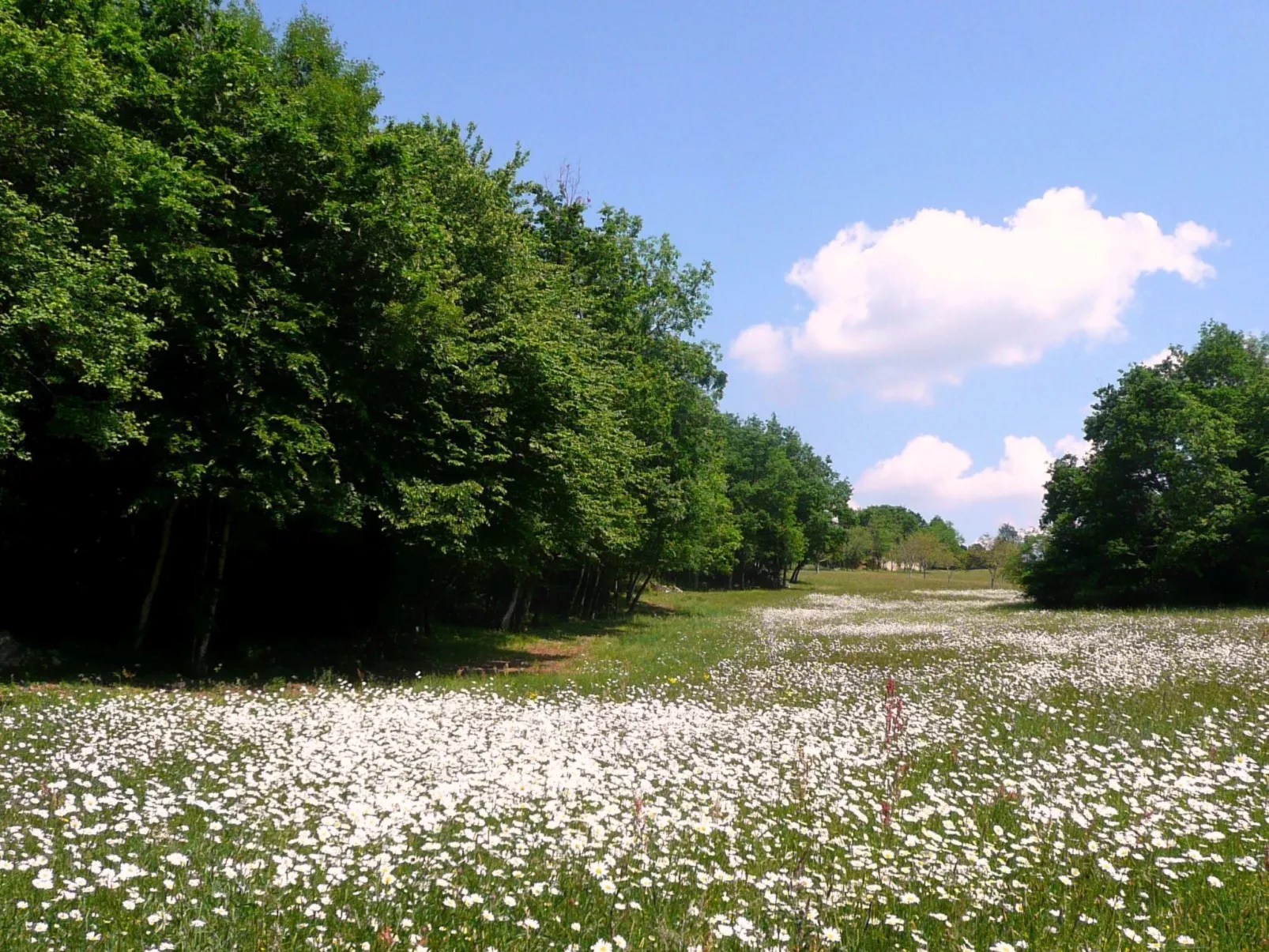Domäne "Gite La Bergerie" (Ferienwohnung) - Image-tags.info