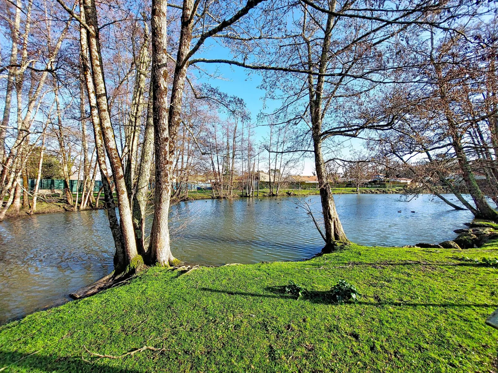 Le Clos des Chênes - Buiten