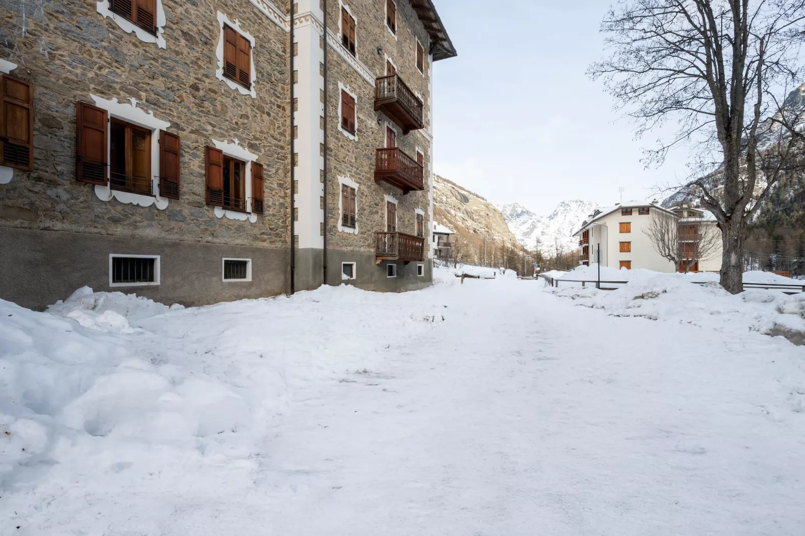 TRILO 1 CERESOLE-Tuin winter