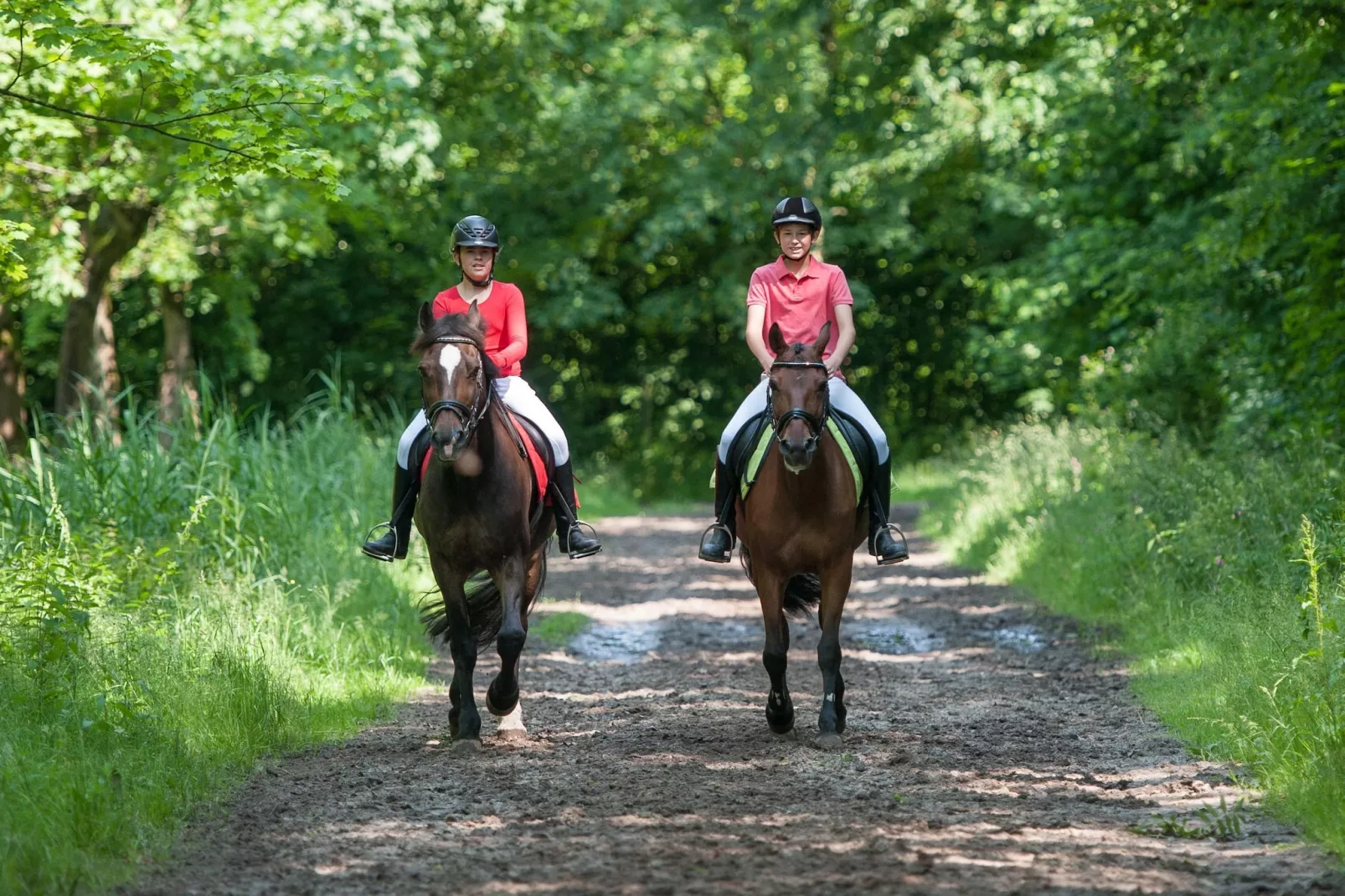 Villa Bel Air - Gebieden zomer 5km