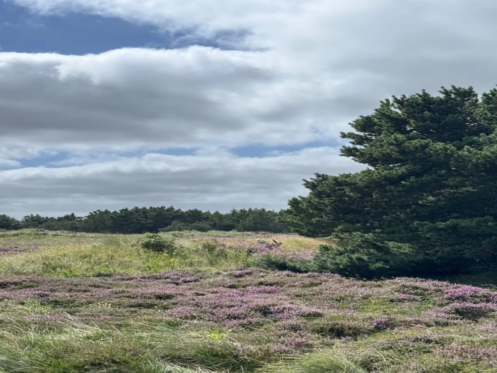 "Thrugils" - 800m from the sea - Buiten