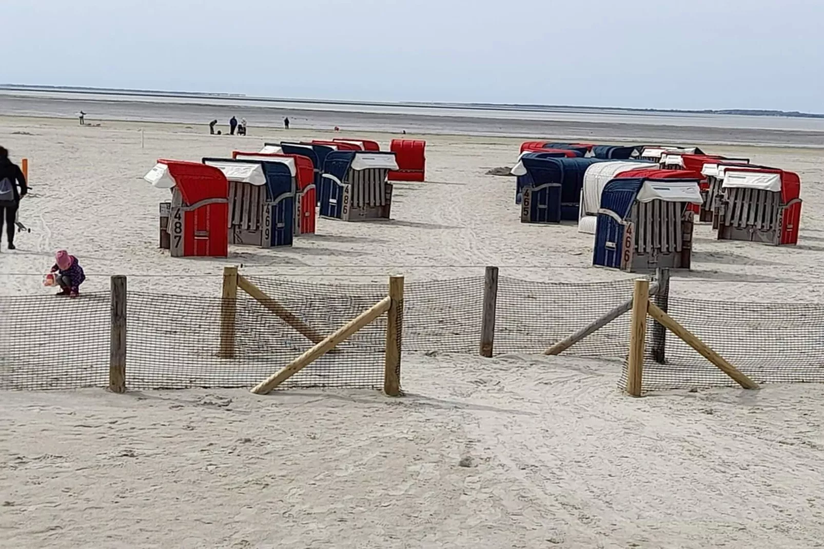 55576-Gebieden zomer 1km