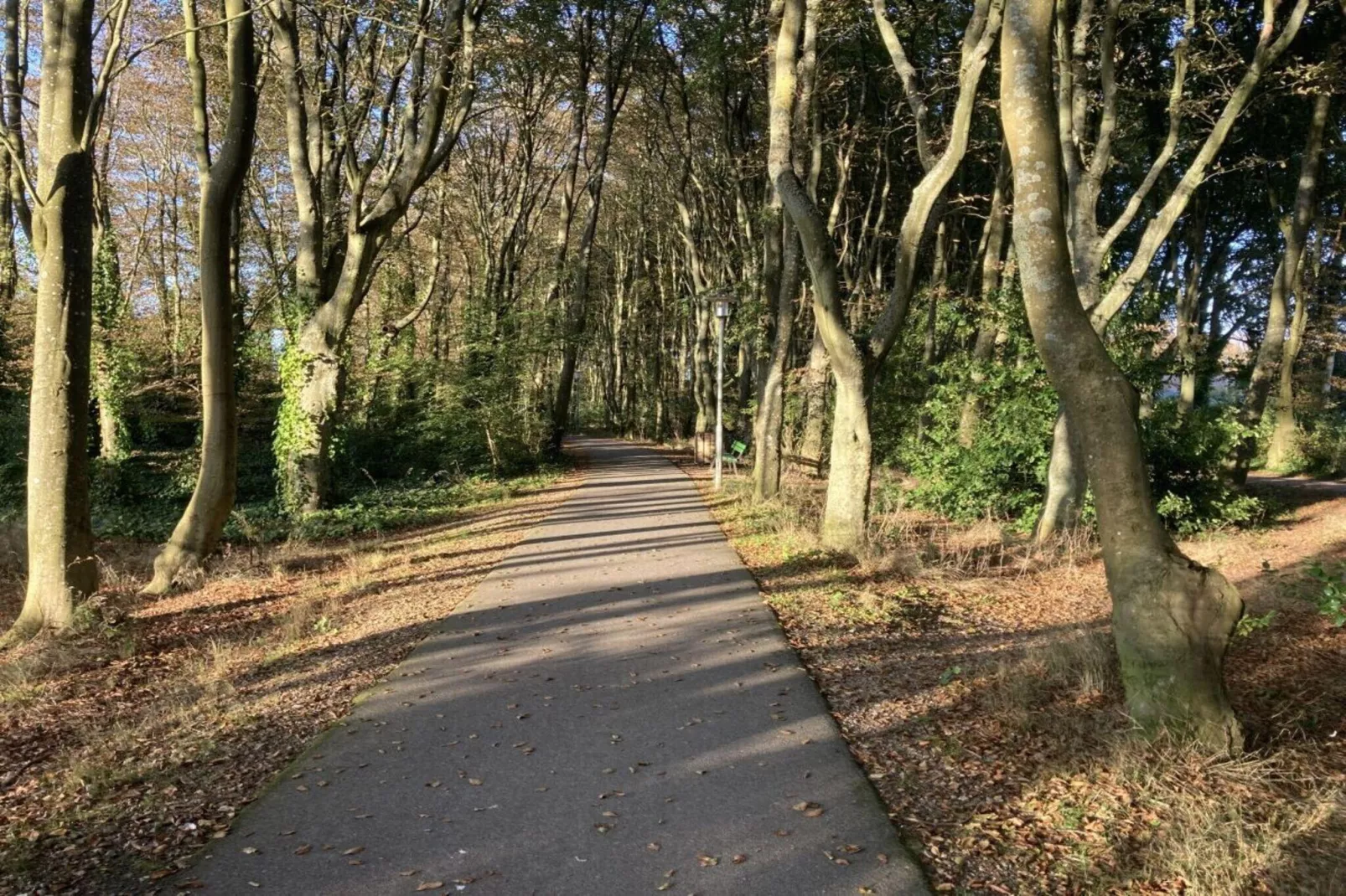 94531-Uitzicht zomer