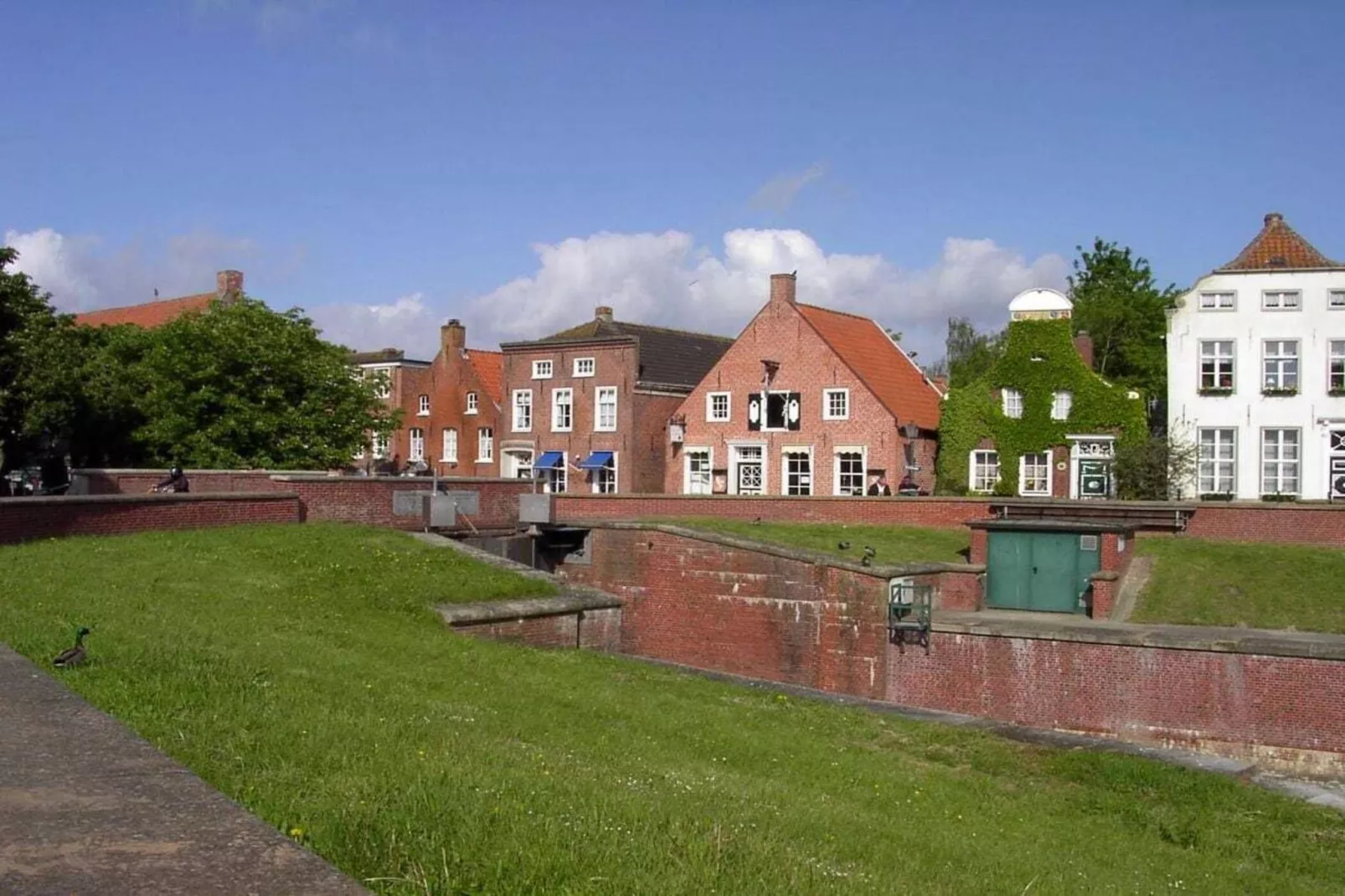 49791-Gebieden zomer 1km