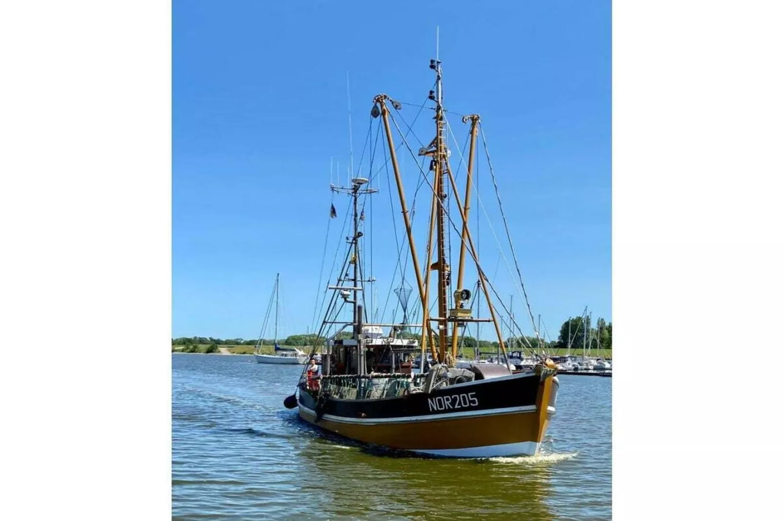 131094-Gebieden zomer 5km