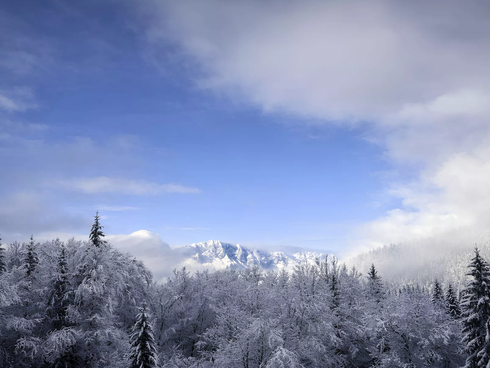 Am Obersalzberg-Buiten