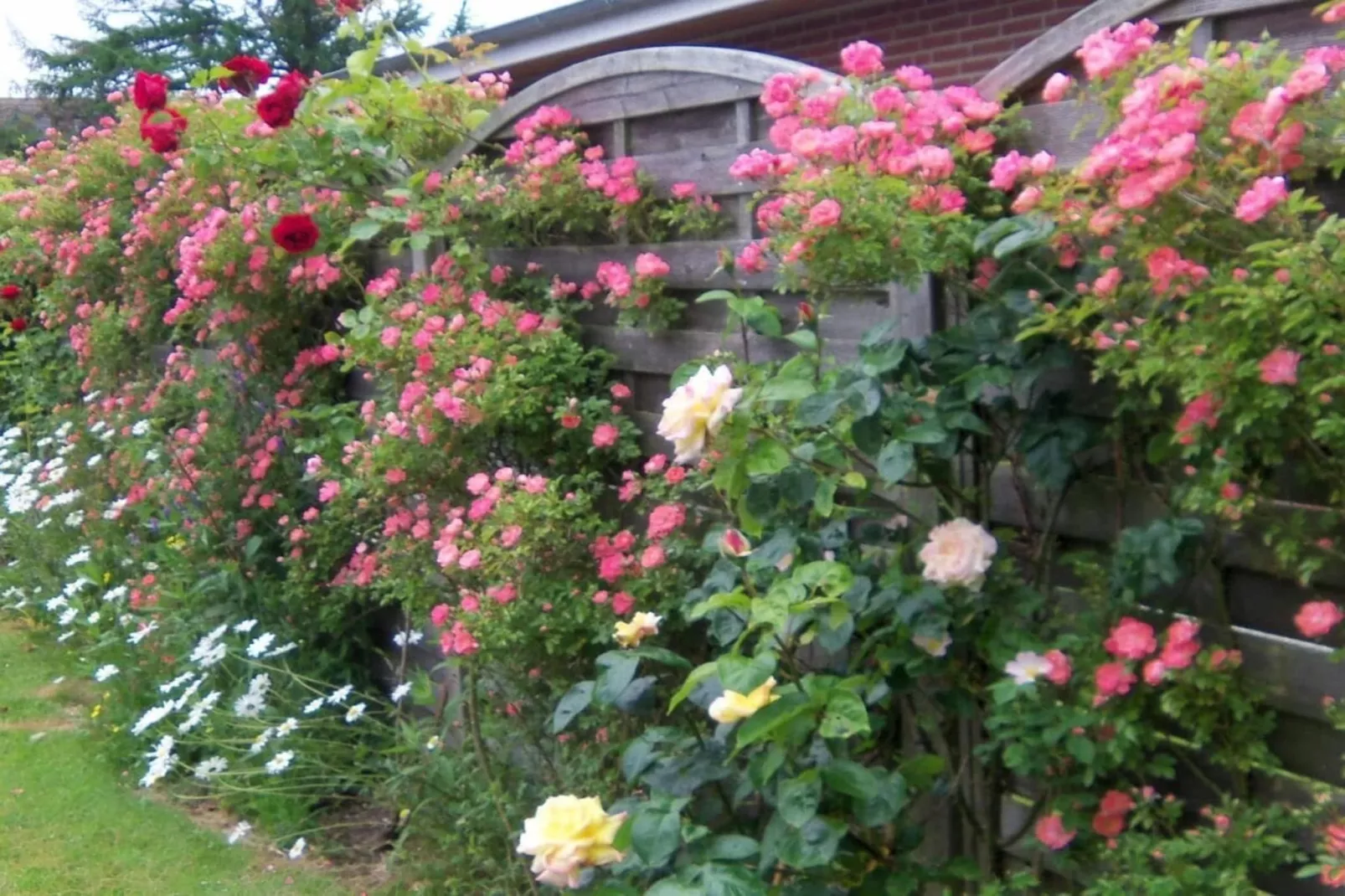 4627-Buitenkant zomer