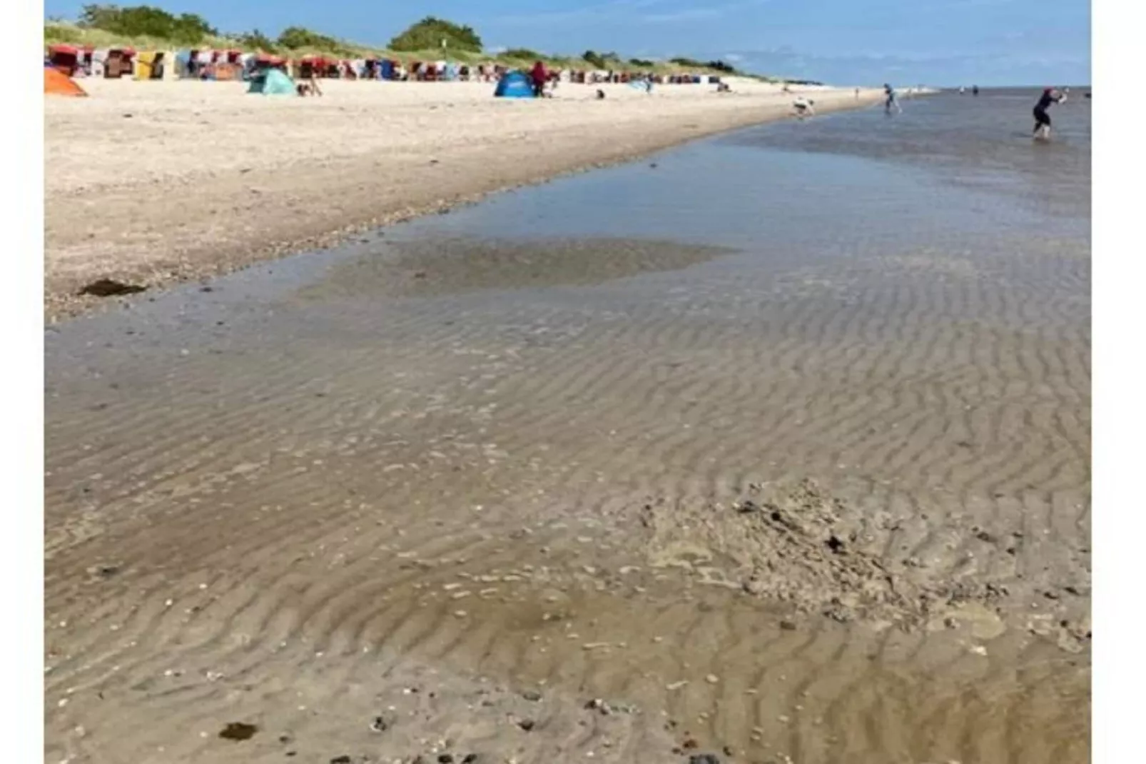 311436-Gebieden zomer 1km