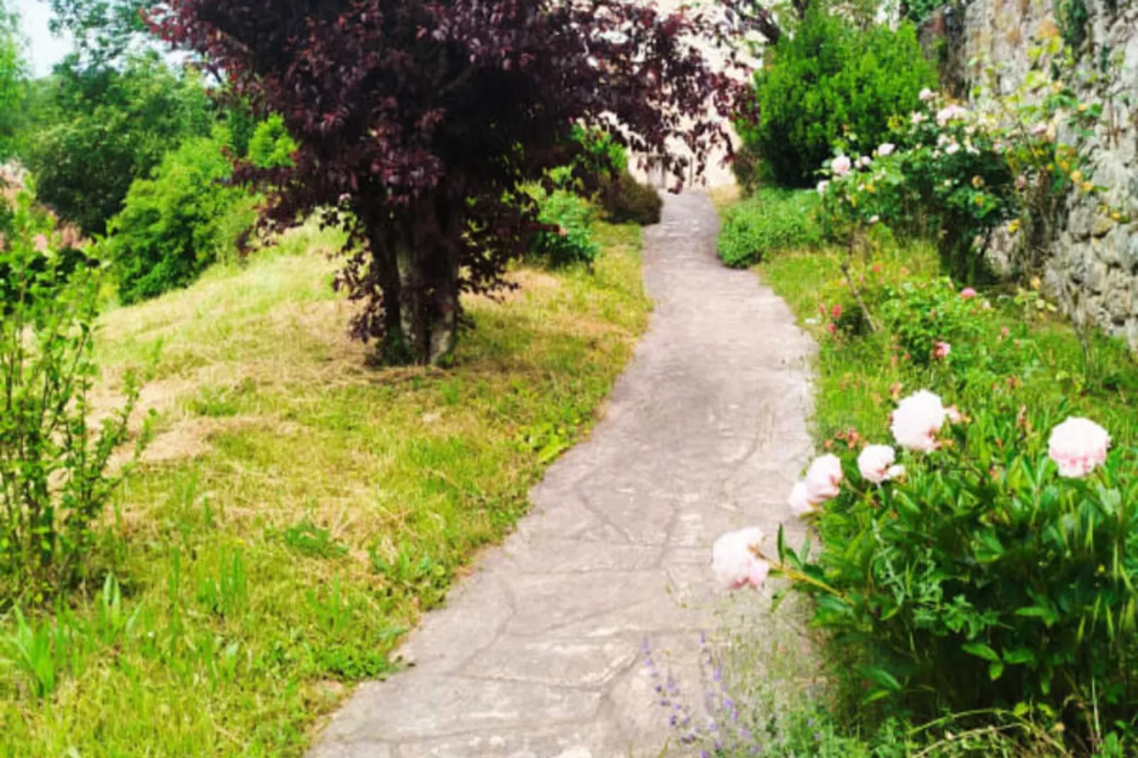 Maison De Charme Ancienne Entre Lacs Et Rh&ocirc;ne-Niet-getagd