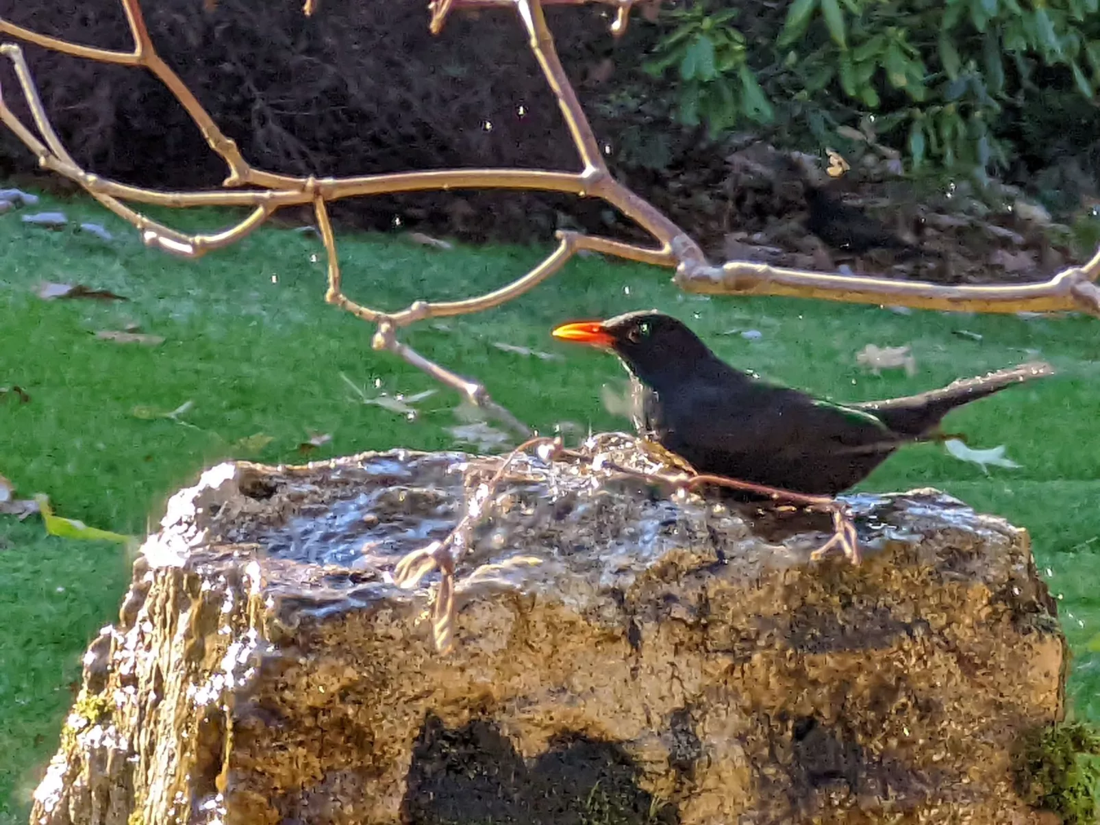 Auszeitoase Freystadt - Park, Billard, Sauna, Kamin, E-Bikes, - ideal für große - Image-tags.info