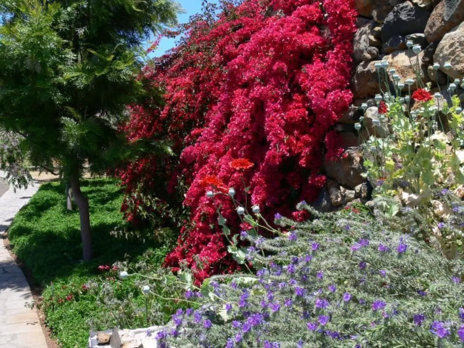 Nettes Ferienhaus in Tijarafe mit Privatem Pool und Panoramablick - Image-tags.info