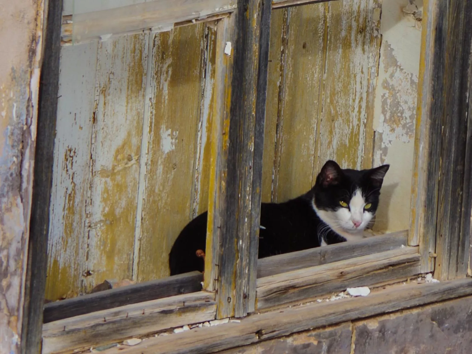 Casa Margarida Azul - Image-tags.info