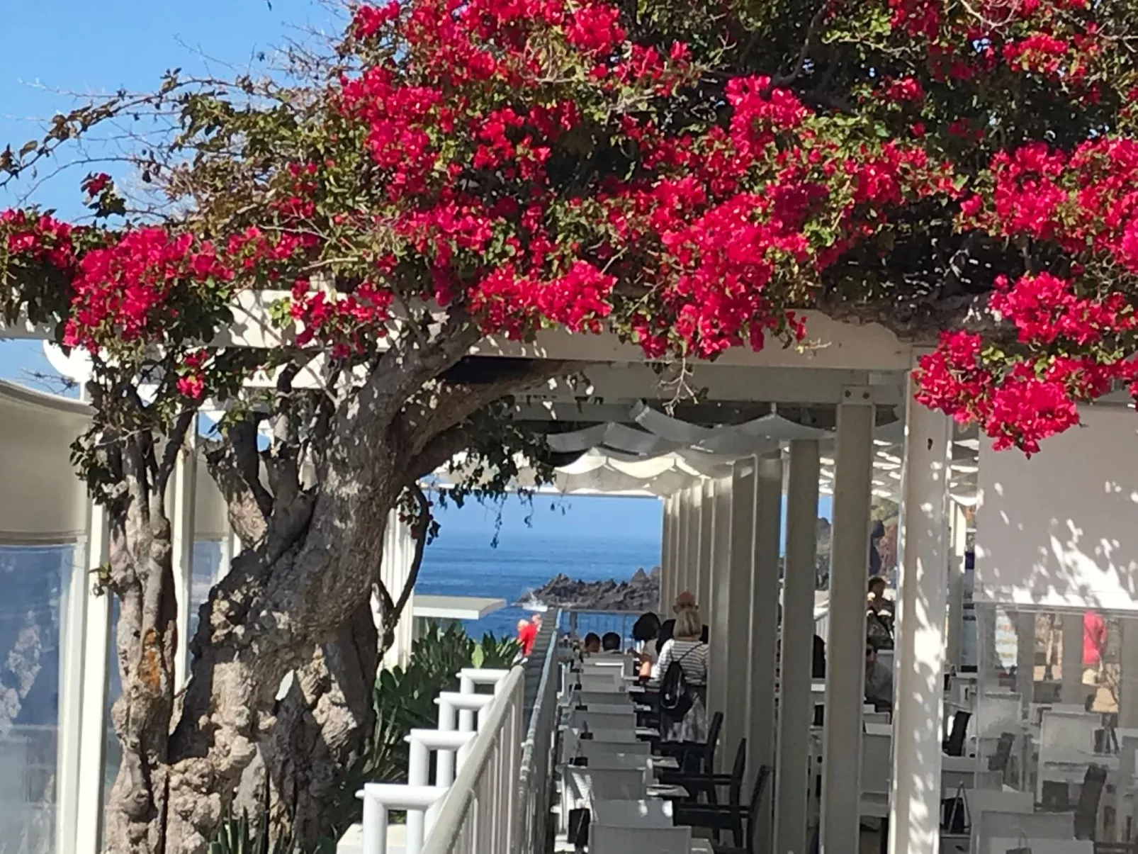 Mit Blick auf das Wasser - Image-tags.info