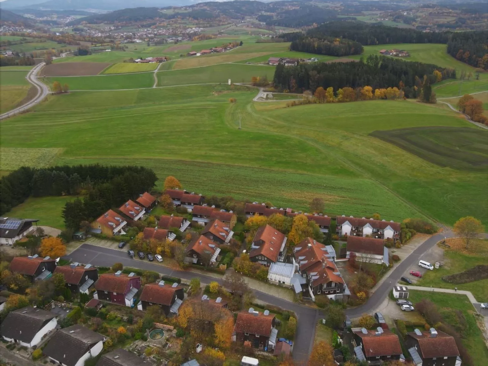 Adele - Allergiker geeignet - Image-tags.info