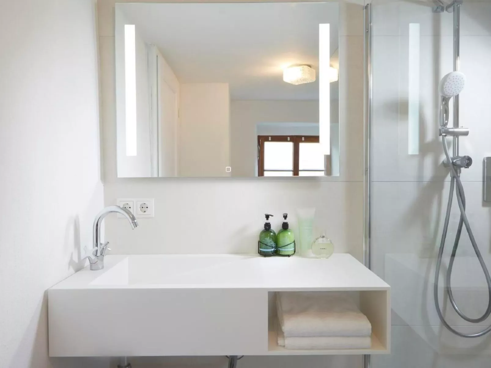 Olive Tree - Image-tags.info