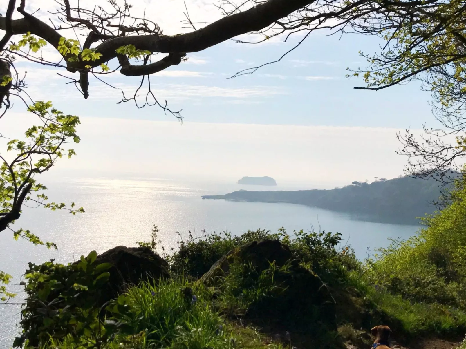 Luxuriöse viktorianische Villa in ruhiger Lage - Image-tags.info