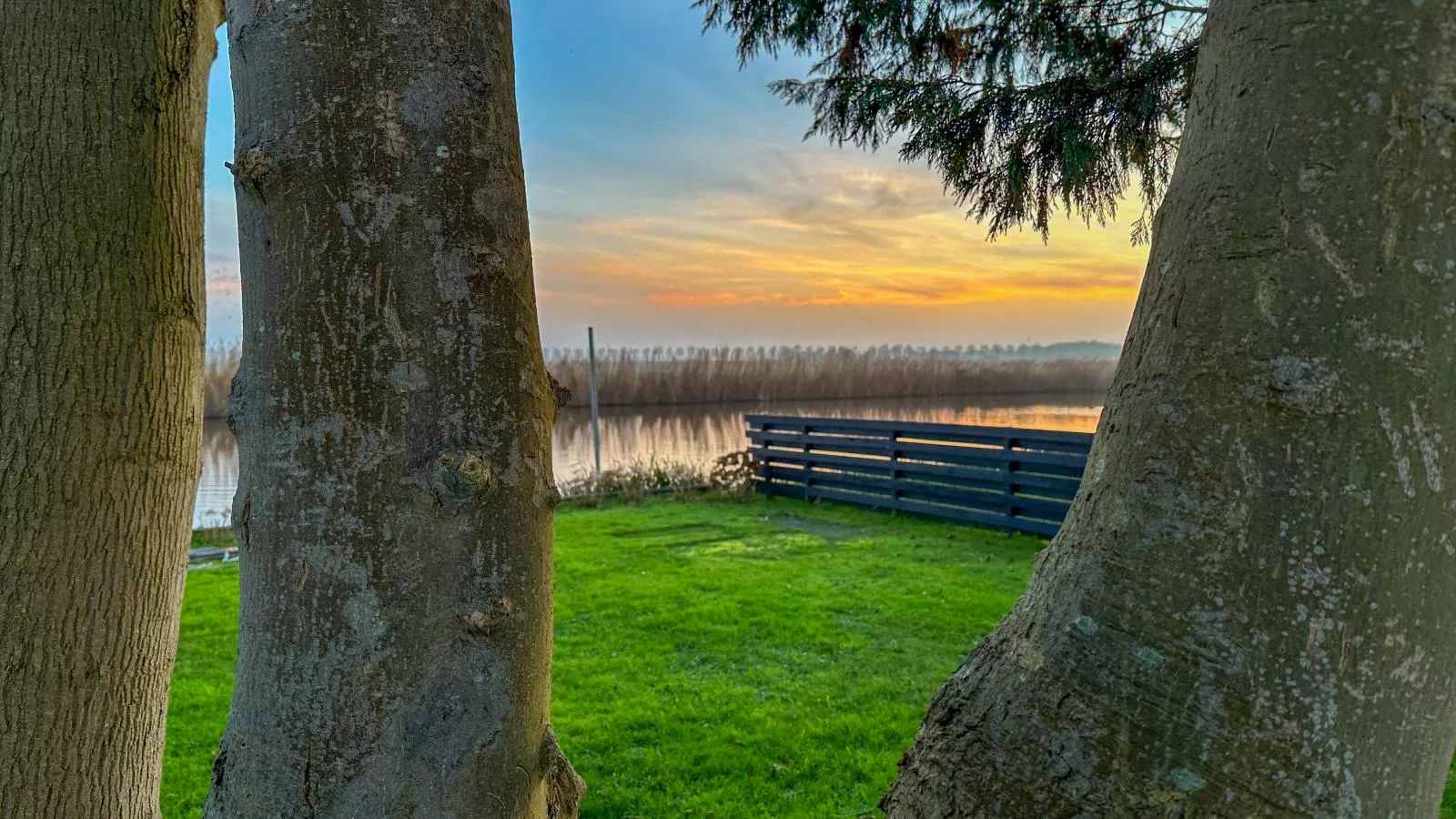 Beets View - Tuin winter