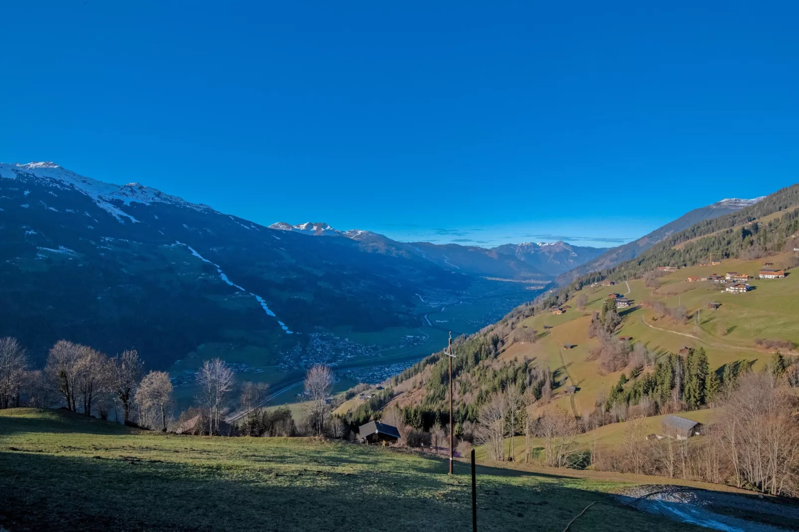 Vogalnest-Gebieden zomer 1km