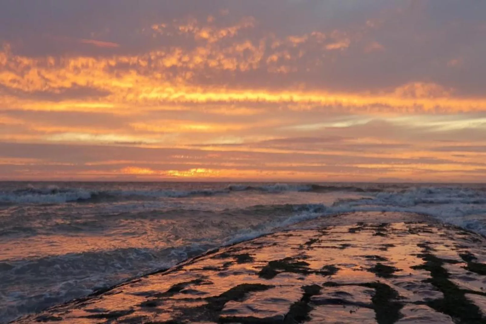 SUNFLOWER 0705GAR-Gebieden zomer 20km