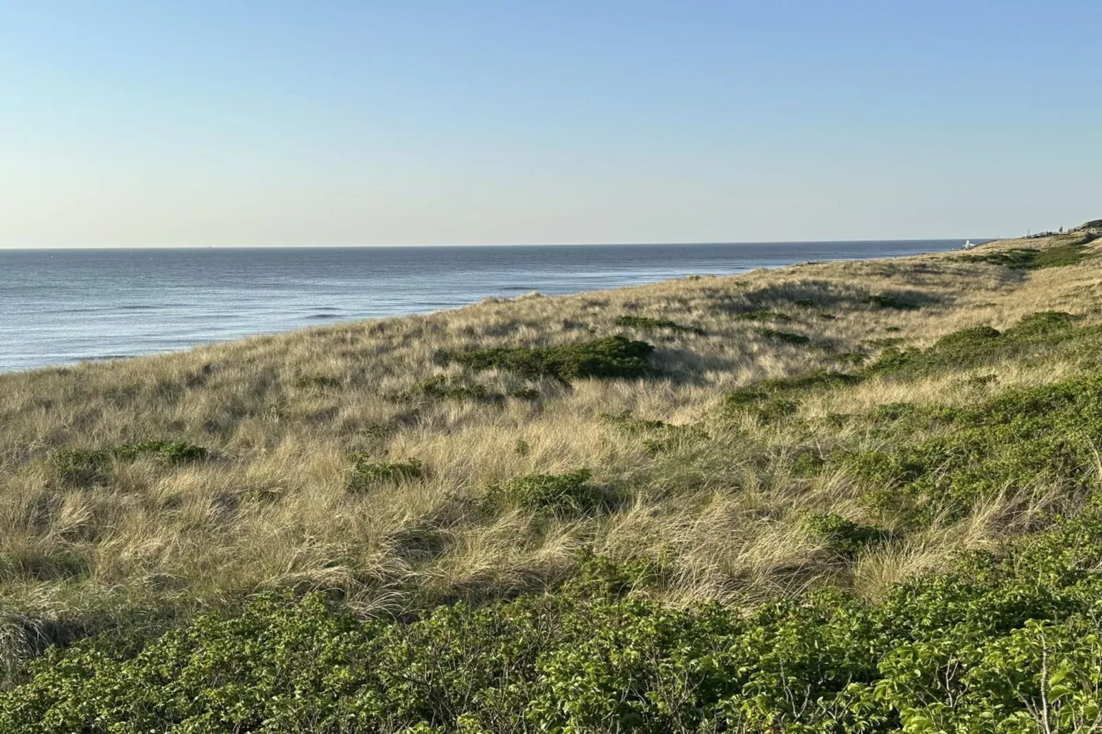 248389-Gebieden zomer 5km