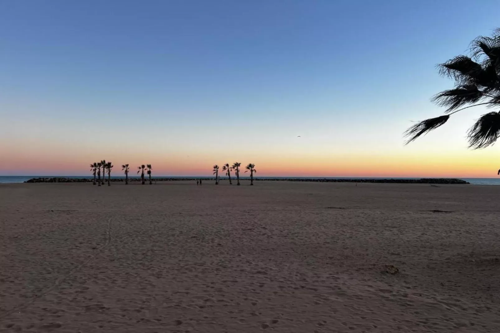 La Dune N°73 - Villa 4P9-Gebieden zomer 1km