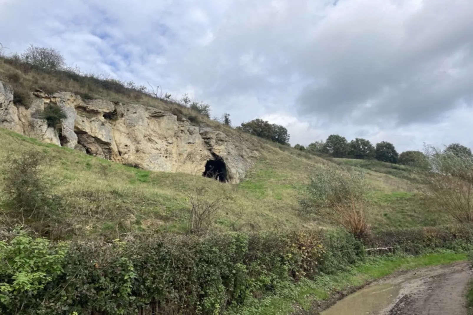 Schaelsbergerbosch - Fireplace & Sauna-Gebieden zomer 20km