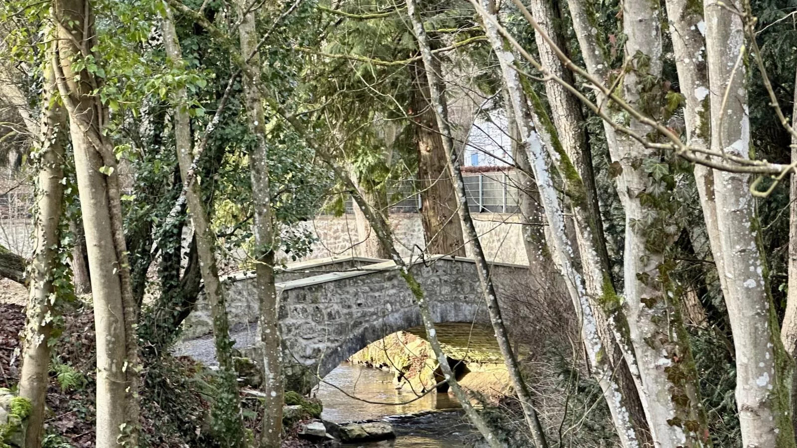 Gite de Montaigle - Gebied winter 1km