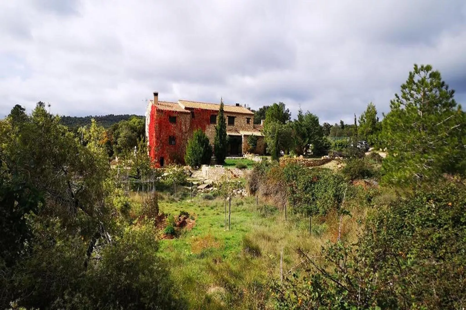 Mas de l'Arlequi - Tuinen zomer