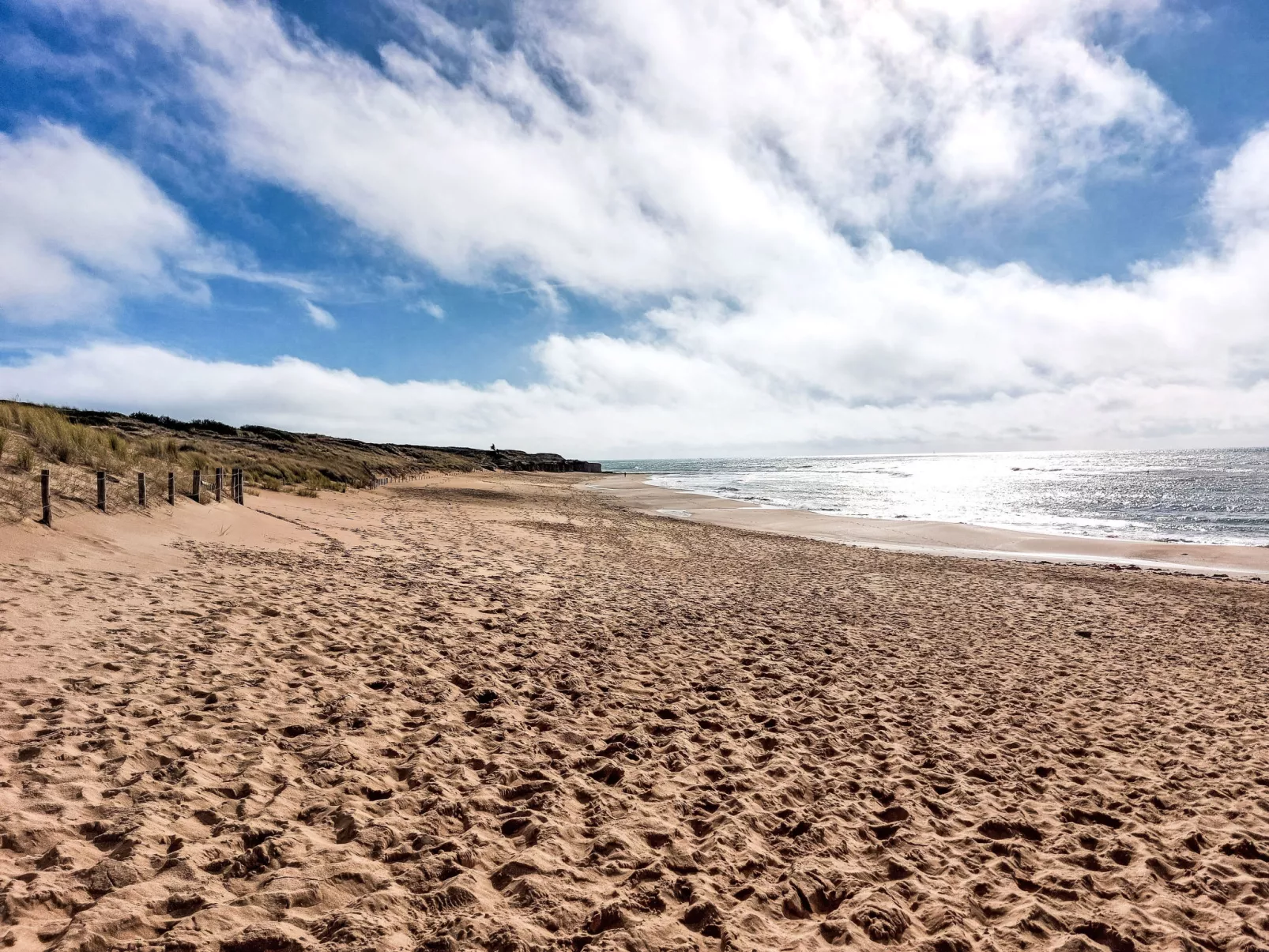 Villa Océan et Forêt-Buiten