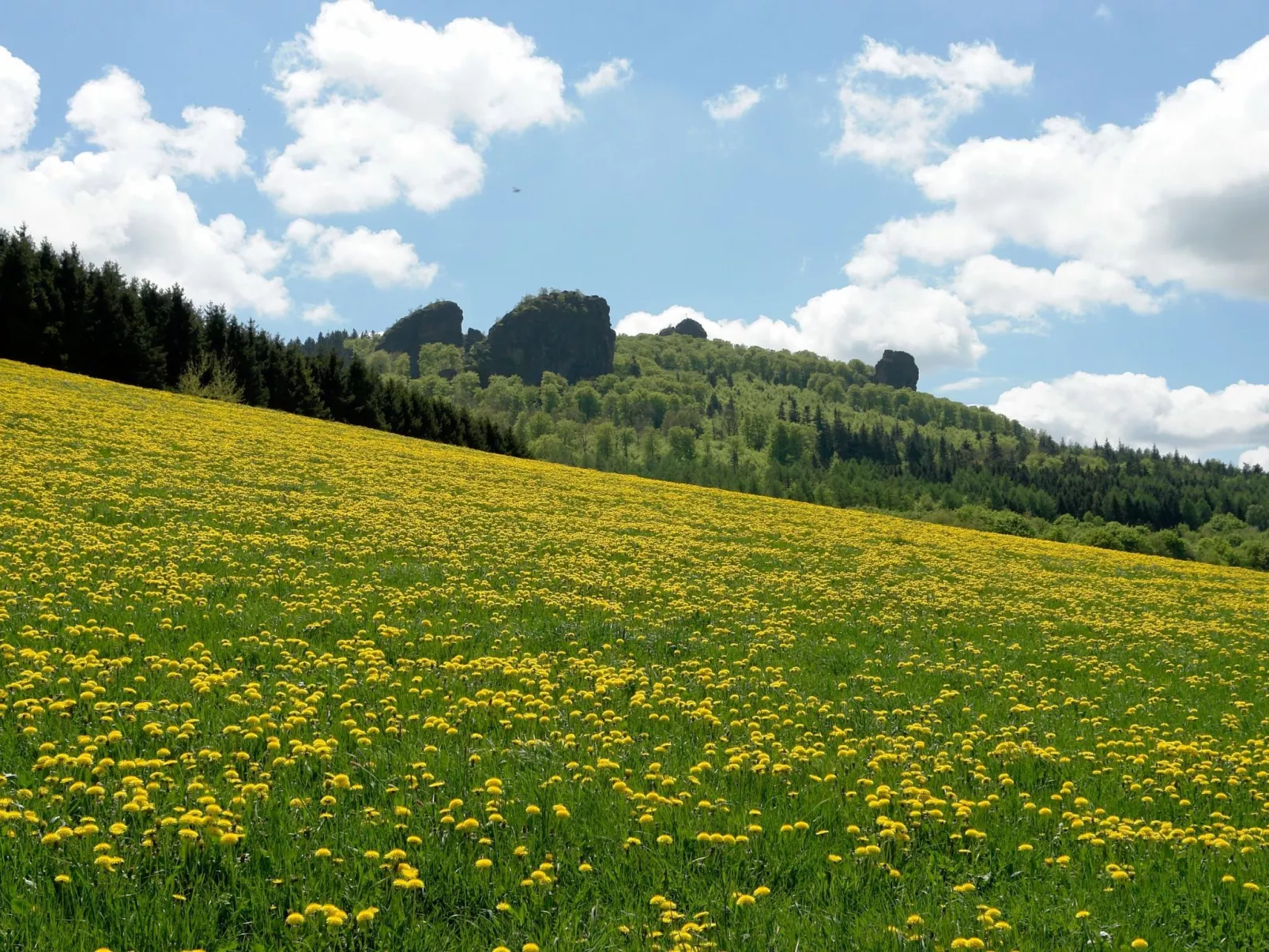 Fachwerkliebe - Image-tags.info