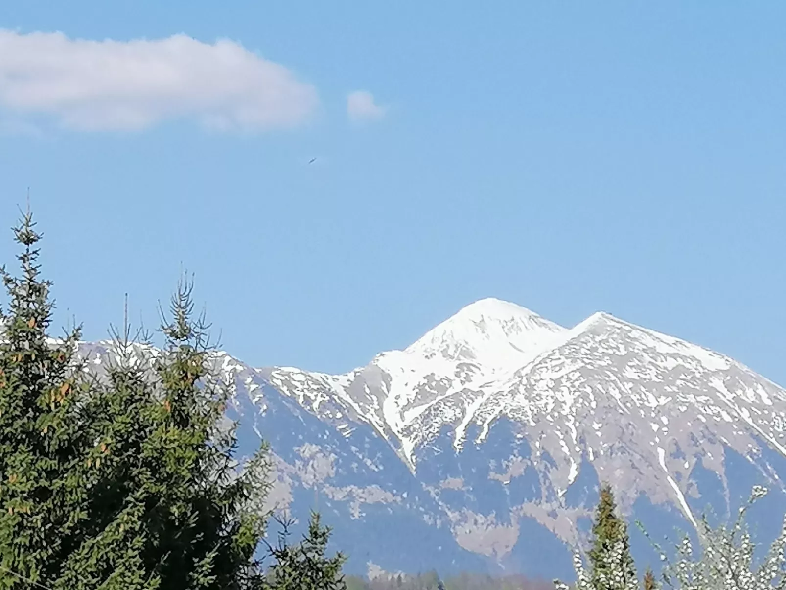 Mit eigenem Garten und Terrasse - Image-tags.info